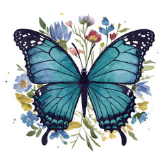 Isolated colorful butterfly or moth with beautiful wings on a white or black background