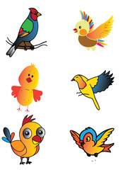  Colorful Nice Birds Vector set