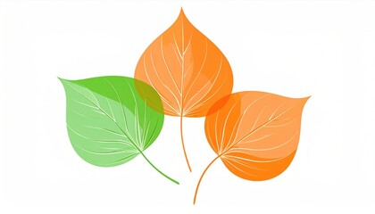 Leaves Green and Orange Leaf Illustration