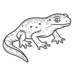 Obraz premium Palmate Newt Line Art Illustration