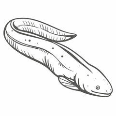 Line Art of Two-Lined Caecilian Gymnopis