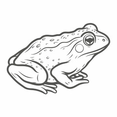 African Common Toad Line Art Illustration