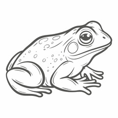American Spadefoot Toad Line Art Illustration