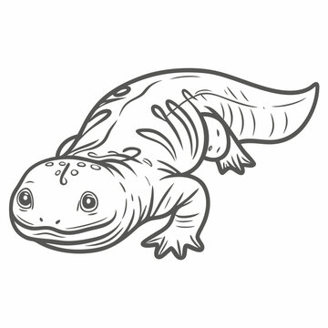 Hellbender Salamander Line Art Illustration