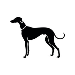 Vector black silhouette of a dog isolated on a white background.