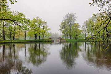 The old stone bridge. Rainy spring park.