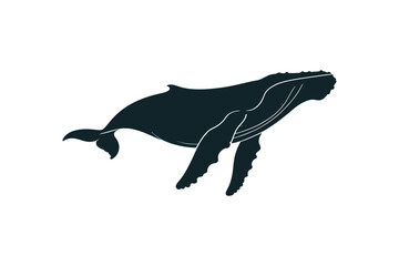 Silhouette of a humpback whale on white © Jibongfx