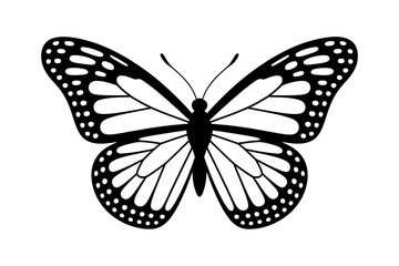 Detailed black and white butterfly image