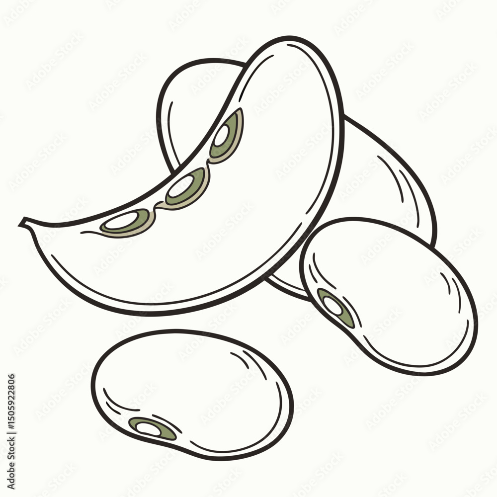 Poster lima beens vector transparent background