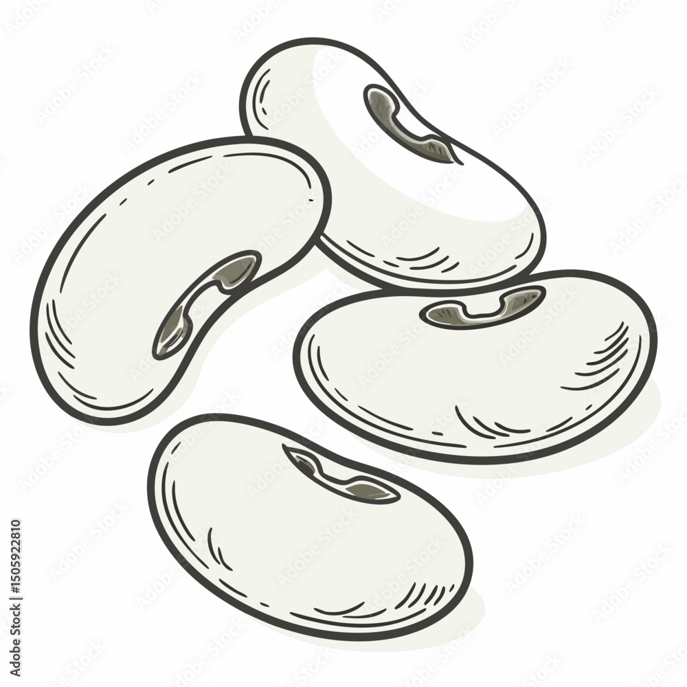 Poster lima beens vector transparent background
