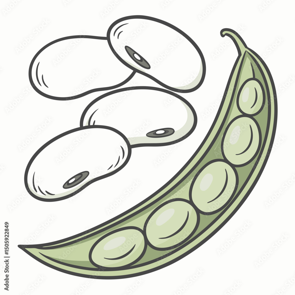 Poster lima beens vector transparent background