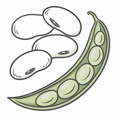 Lima Beens Vector Transparent Background