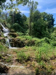 waterfall in the forest