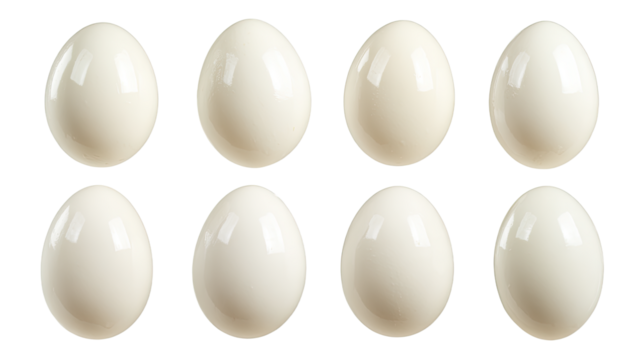 Eight Smooth Peeled and Glossy Boiled Eggs Arranged in Two Rows