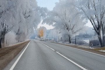 An empty asphalt road winds through a winter landscape with frost-covered trees and light snow patches on grassy areas under a gray sky.