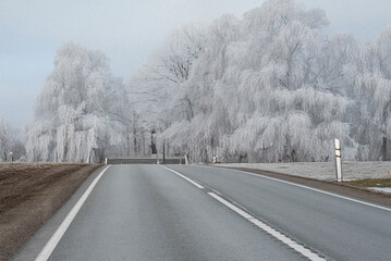 An empty asphalt road winds through a winter landscape with frost-covered trees and light snow patches on grassy areas under a gray sky.