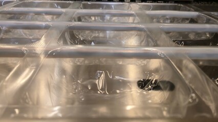 Vacuum thermoforming line in food factory