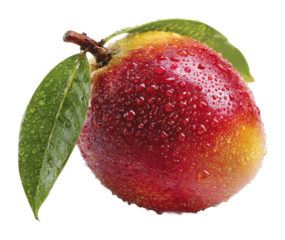 Freshly picked red apple natural environment healthy snack isolated on transparent background