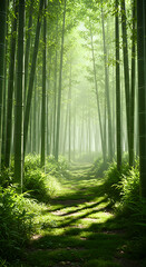 Fototapeta premium Serene path through a misty bamboo forest