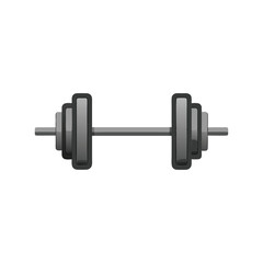Gym Barbell Vector Illustration on White Background