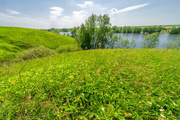 Spring photo, willow overgrown lake, bright greenery, blue sky with clouds, great spring mood