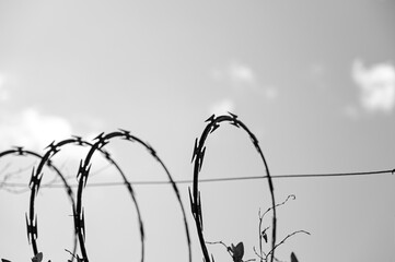 barbed wire against the sky, barbed wire on the fence, barbed wire fence, barbed wire, black and...