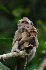 mother and baby