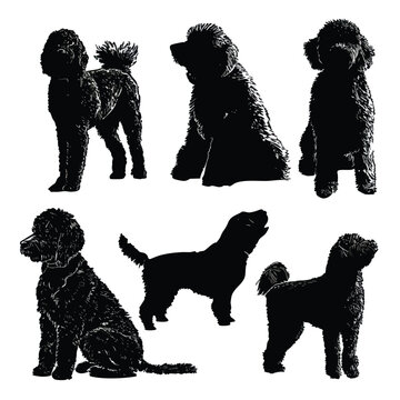 whoodle silhouette set, Black & White silhouette set