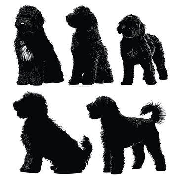 whoodle silhouette set, Black & White silhouette set