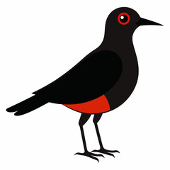 vector illustration of a bird