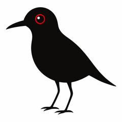 vector illustration of a bird