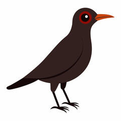 Obraz premium vector illustration of a bird