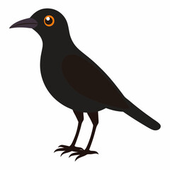 vector illustration of a bird