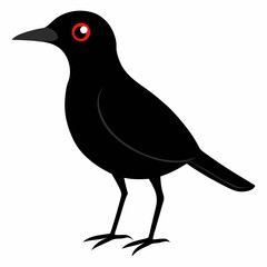 vector illustration of a bird