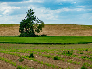 Ackerbau im Fr&uuml;hjahr