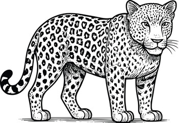 Leopard vector black silhouette cricut design for T-Shirt