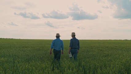 Two farmers walking in a green wheat field, Farmers inspecting crops together, Agricultural teamwork in the countryside, Rural scene with farmers and crops, Field workers discussing harvest