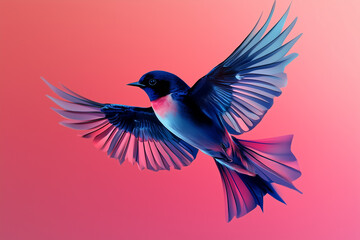 Obraz premium Elegant swallow in dynamic pose wings spread wide isolated on a gradient background 