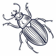Various insects including mosquito bee wasp and housefly in vector illustration style