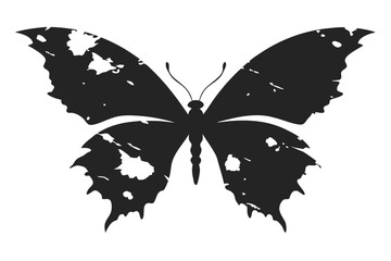 Black and white butterfly vector illustration with isolated wings on a white background, capturing the beauty of this insect