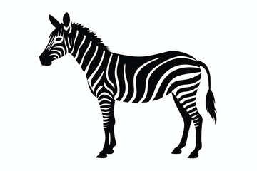 Obraz premium Cute cartoon zebra vector illustration, a striped wild animal isolated on a white background