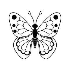 butterfly vector illustration