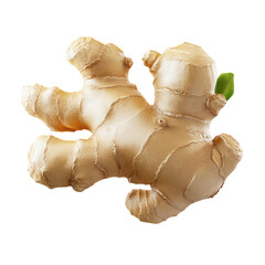 A close up shot of a ginger root with a small green sprout against a black background in bright lighting