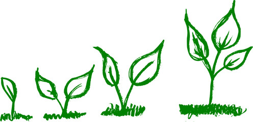 Plant Sprout Growth Grunge Paint Brush Stroke Drawing Vector