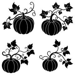 Pumpkin Vine Silhouette vector