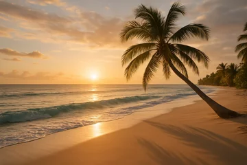 Poster Peaceful tropical beach at sunset with palm tree, gentle waves, and golden light reflecting on the ocean.  