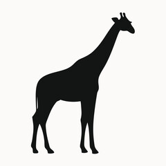 Fototapeta premium Elegant Silhouette of a Giraffe African Wildlife Vector Illustration