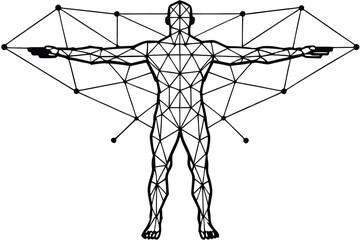 Human body anatomy with muscular illustration, medical 3D skeleton, and artistic anatomical drawings of health and fitness