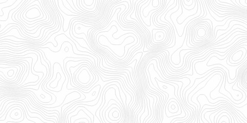 Abstract topography pattern seamless lines sea map modern design white background. Abstract digital topographic contour map concept space geometric strip grid line. Natural discovery of maps.	
