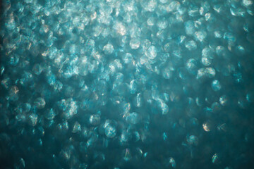 An abstract background of shimmering blue bokeh lights, creating a dreamy and ethereal effect. The soft focus and sparkling texture evoke a sense of calm and mystery.